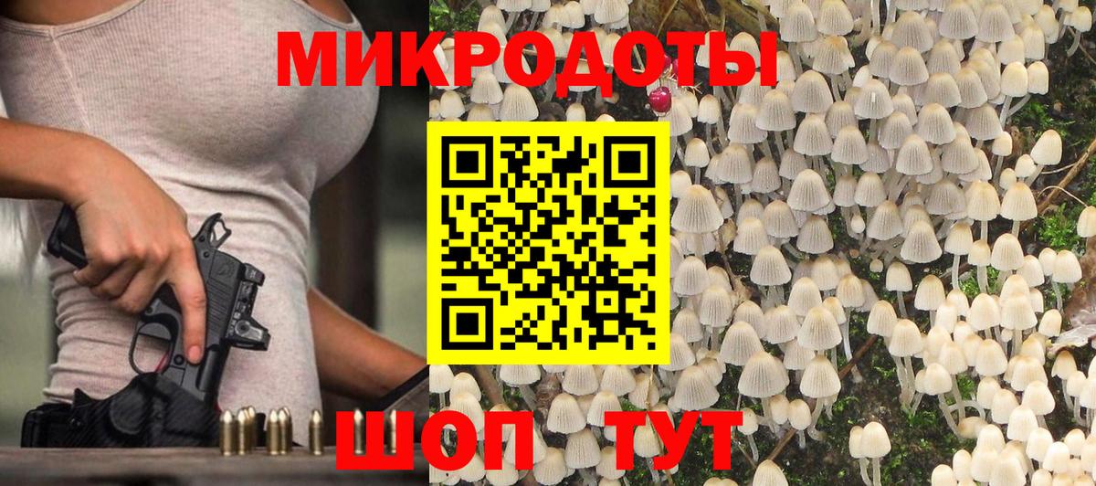 Псилоцибиновые грибы Psilocybe Абинск