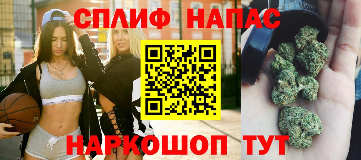 Бошки марихуана конопля Абинск